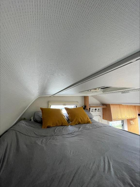 Hotel The Cosy Camper At Rockfield Park Galway Exteriér fotografie